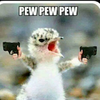 SwiftBunny90860's Avatar'