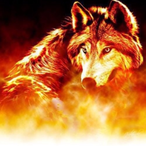 TheBurningWolf9's Avatar'