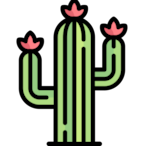 lil_meowmeow.'s Avatar'