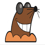 wm0309's Avatar'