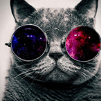 XxMadAcexX69's Avatar'
