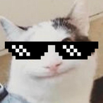 MuchPingKing's Avatar'