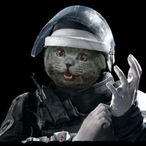 Noraxx.FZ's Avatar'