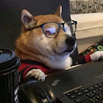 Savage_Capybara's Avatar'