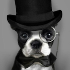 Dr.Oski's Avatar'