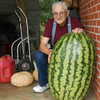 KnockedUpMelon's Avatar'