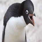xMiNi.'s Avatar'