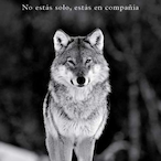 sleepyhopp's Avatar'