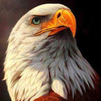 Iunarvision's Avatar'