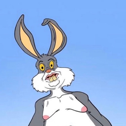 SirRoo
