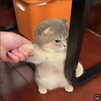 SneezyisTHICC's Avatar'