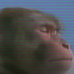 Gamin_Monke's Avatar'