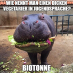 Schnitzeltoast0's Avatar'