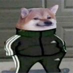 WUT_dude's Avatar'