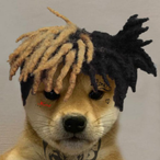 BirdInDaHouse's Avatar'