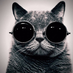 Alaskis's Avatar'