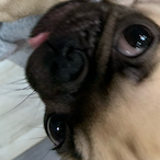Luckycharmz231's Avatar'