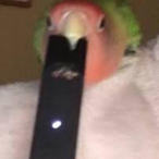 Lt.B00.T.clapa's Avatar'