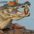 jakarex7's Avatar'