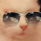 ScaredOfMyImage's Avatar'