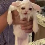 ILoveSacksALot's Avatar'