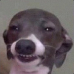 Norbert.Muda's Avatar'