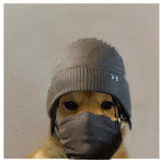 MxE-PAPILECHERO's Avatar'