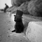 HuyDar's Avatar'