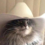 sheriffcat__'s Avatar'