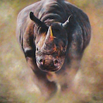 FootlessRhino's Avatar