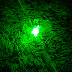 ayqu's Avatar'