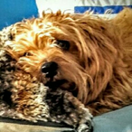 Fourth.Ledoram's Avatar