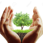 Baumpflanze.'s Avatar'