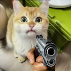 MeowTay's Avatar'