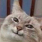 Milivaniligrams's Avatar'