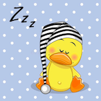 SleepyDuck.'s Avatar'