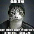 Calefon_Tactico's Avatar'