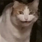 downmybutt's Avatar'