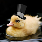 sirduck-'s Avatar'