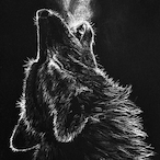 LostBerzerker's Avatar'