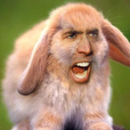 An_Angry_Bunny's Avatar'