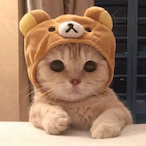 Meow.totsugeki's Avatar'