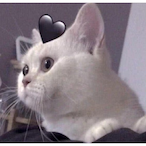 cookie_yummy's Avatar'