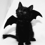 Goth_mommmies's Avatar'