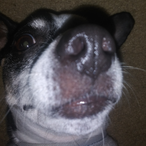 rrushn2's Avatar'