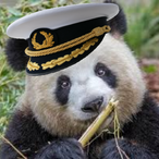 Sprachfehler_exe's Avatar'