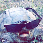 MFnSorcerer's Avatar'