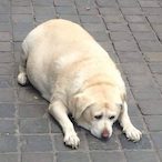 z-IIIIIIIlIIII's Avatar'