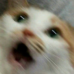KrChl's Avatar'