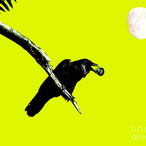 Lemon-Grab's Avatar'